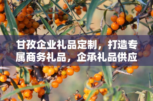 甘孜企业礼品定制，打造专属商务礼品，企承礼品供应链助力企业福利升级