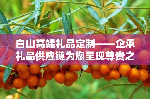 白山高端礼品定制——企承礼品供应链为您呈现尊贵之选